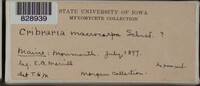 Image Associated With the Occurence